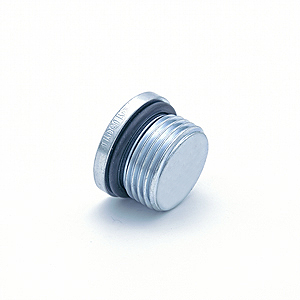 Socket Head Plug